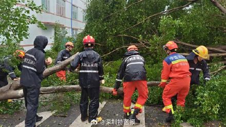 深圳台风远离 暖心故事继续