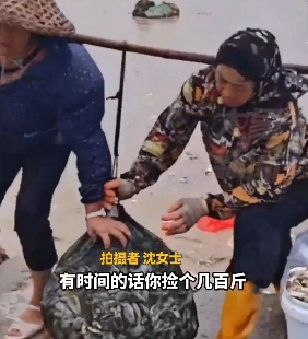 “能捡几百斤”！台风后，福建一海滩遍地出现，紧急提醒