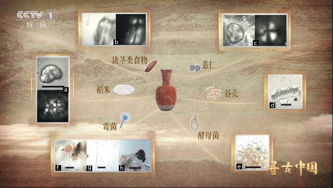 “锅气”十足蒸蒸日上 古人太懂捧着陶器过日子