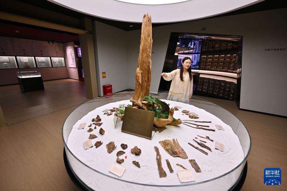 图片故事丨福建仙游：一缕香韵激活百亿产业链