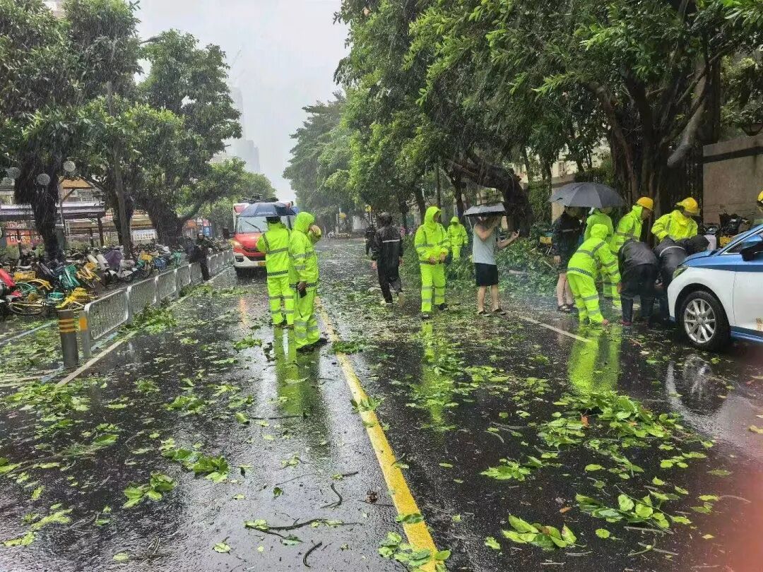 满城风雨，总有人护您周全