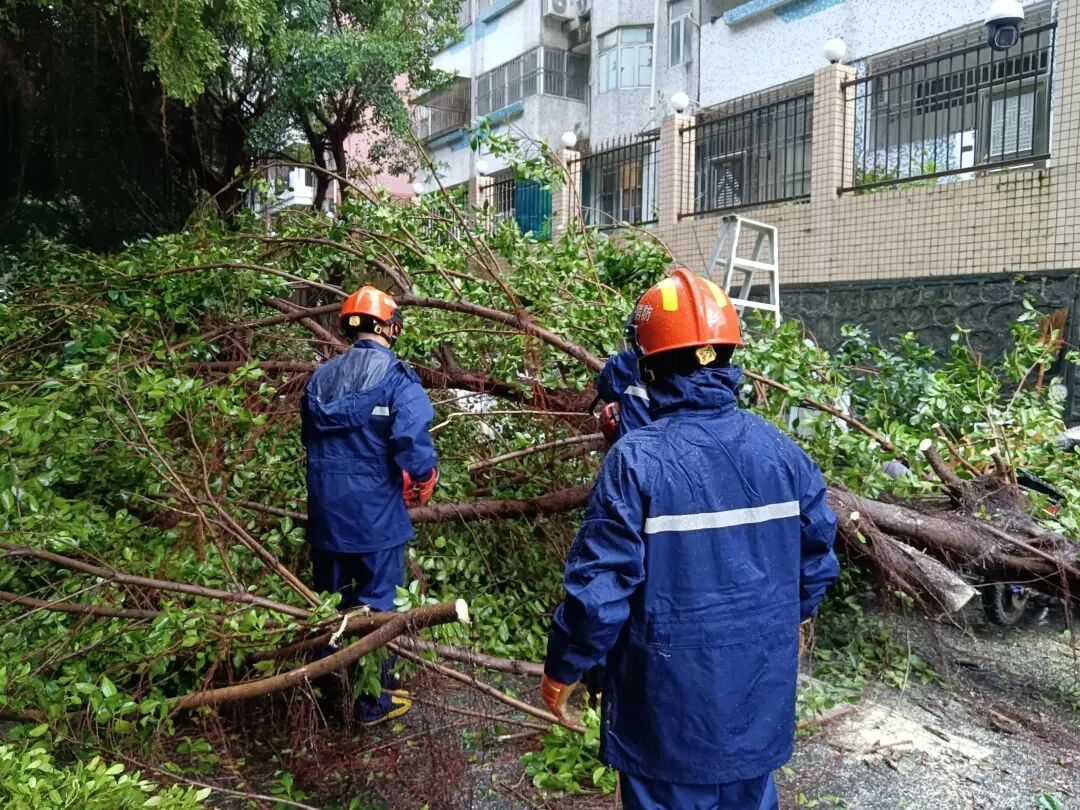 满城风雨，总有人护您周全