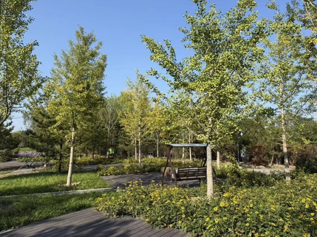 北京最大的“城市绿肺”公园全面建成！9月29日免费开放！