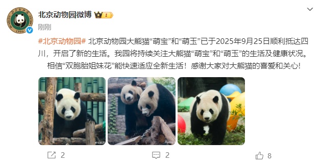 北京动物园：大熊猫“萌宝”和“萌玉”今天已顺利抵达四川，开启新生活