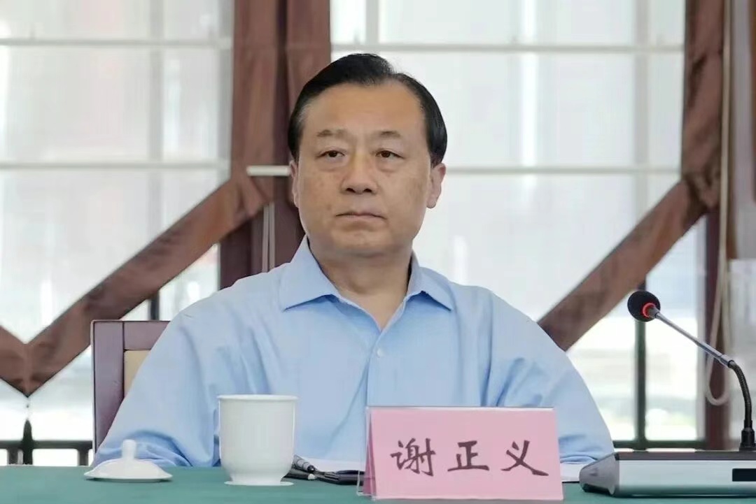 谢正义，被查