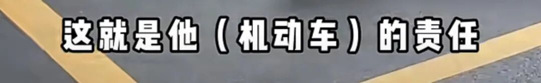 “千错万错，机动车不能撞人”？上海街头一男子闯红灯被撞后怒吼，民警执法被刷屏点赞