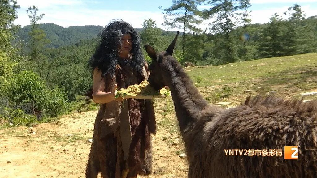 日薪500的“野人”怎么当？服装长啥样？面试官是谁？事关上岗，速度来看！