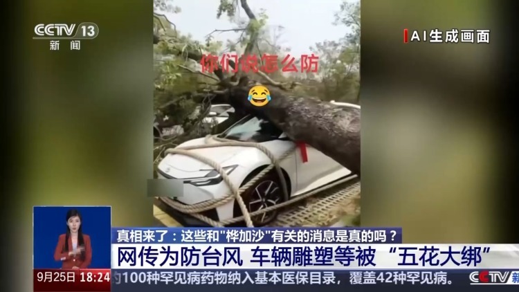为防台风车辆“五花大绑”？这些图都是假的！