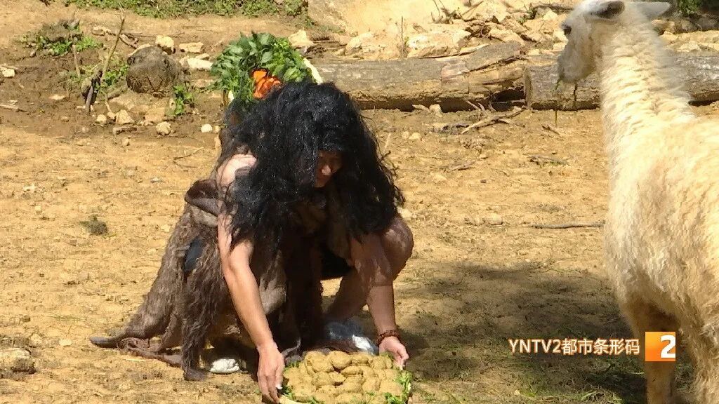 日薪500的“野人”怎么当？服装长啥样？面试官是谁？事关上岗，速度来看！