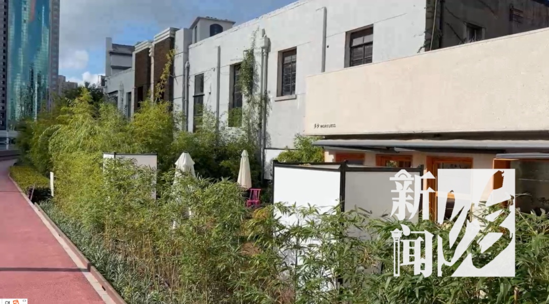上海这座桥正式通行, 这两个区居民出行缩短至5分钟