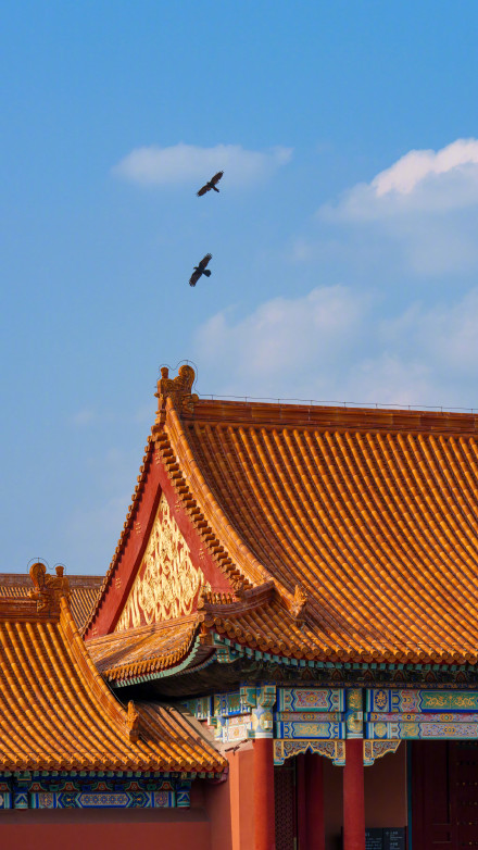 收藏壁纸！当故宫遇上秋天