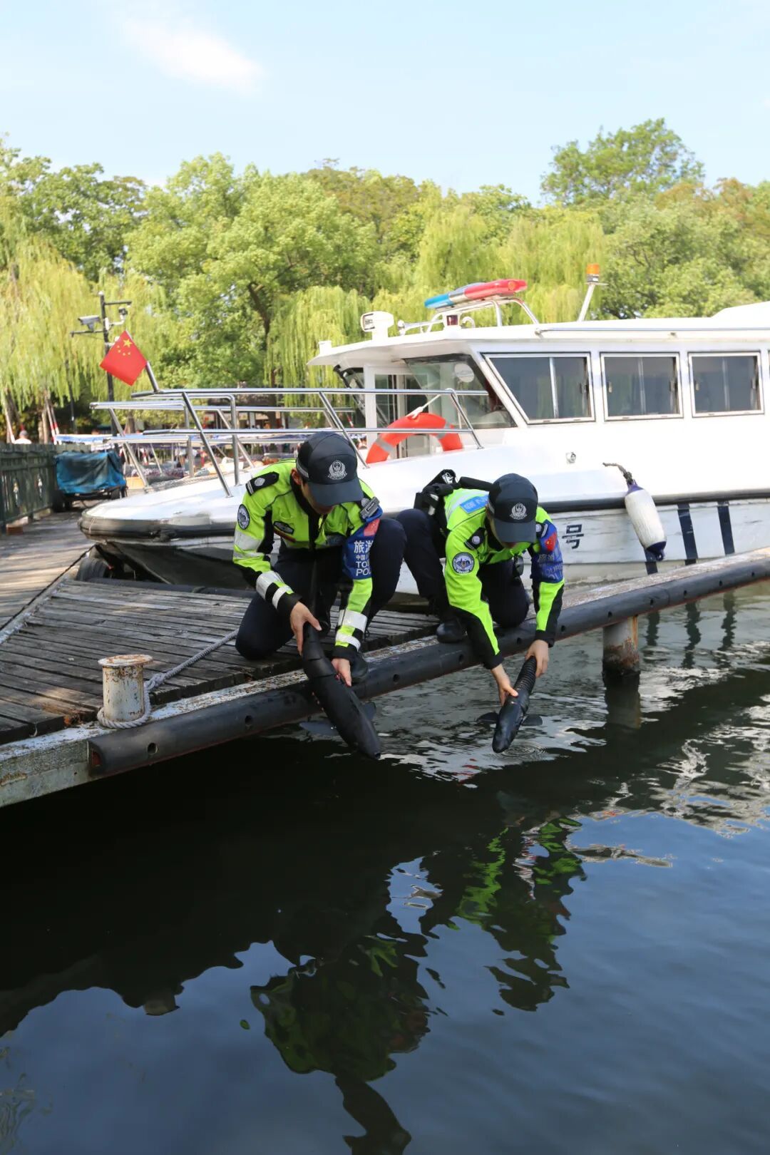 西湖里出现了“鲨鱼”？还不止一条！