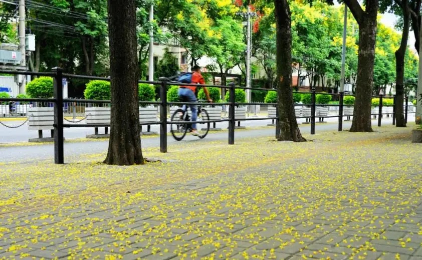 上海天气大反转！雨水+冷空气来袭，气温将骤降...“差不多行了，再热就不礼貌了”