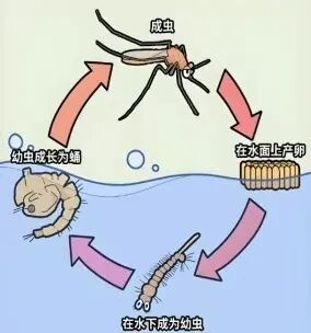 台风过后，警惕这些次生风险！