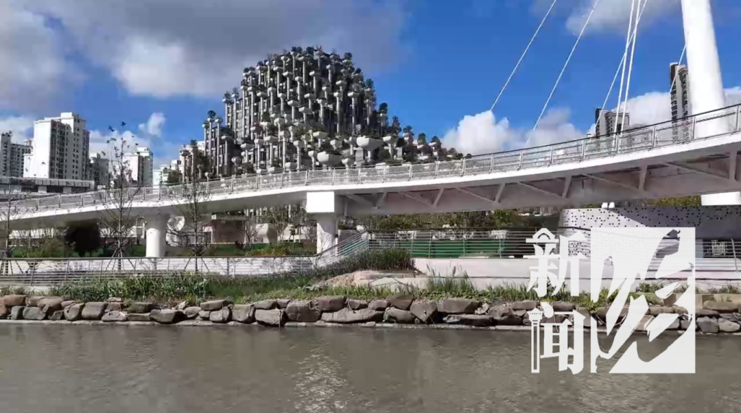 上海这座桥正式通行, 这两个区居民出行缩短至5分钟