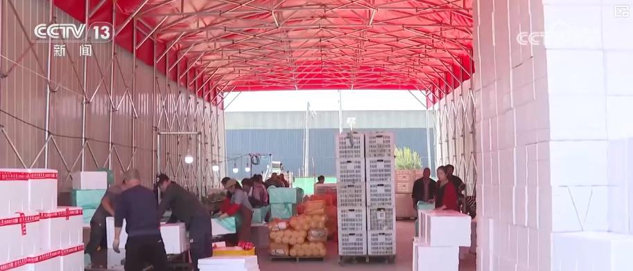 我国人均粮食占有量500公斤夯实根基 多元化食物供给丰富“吃好”选择