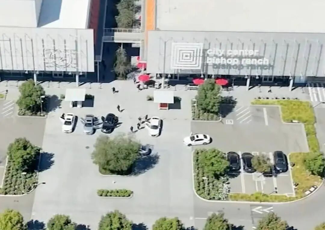 25人组团洗劫美国珠宝店!无人机锁定逃跑路线,已抓获7人 25人组团洗劫美国珠宝店!无人机锁定逃跑路线,已抓获7人