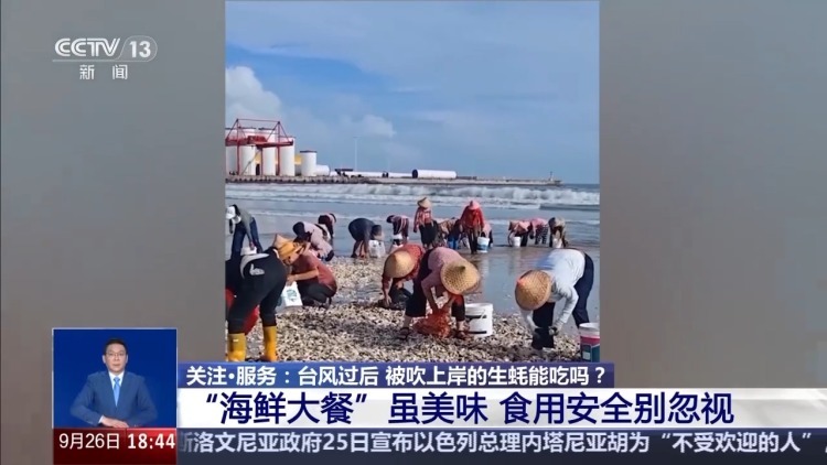 台风过后海滩上出现的“海鲜大礼”能吃吗？有何健康隐患？