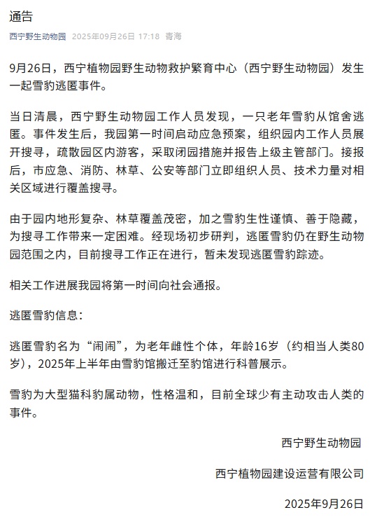 西宁野生动物园：出逃的雪豹“闹闹”已找到，状态良好