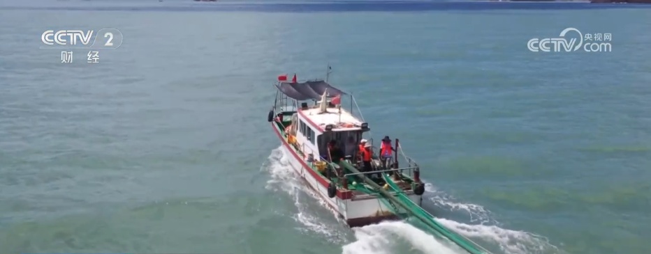 美食市集、海上捕捞、旖旎山水……各地打造独特文旅IP 点亮金秋多彩假期