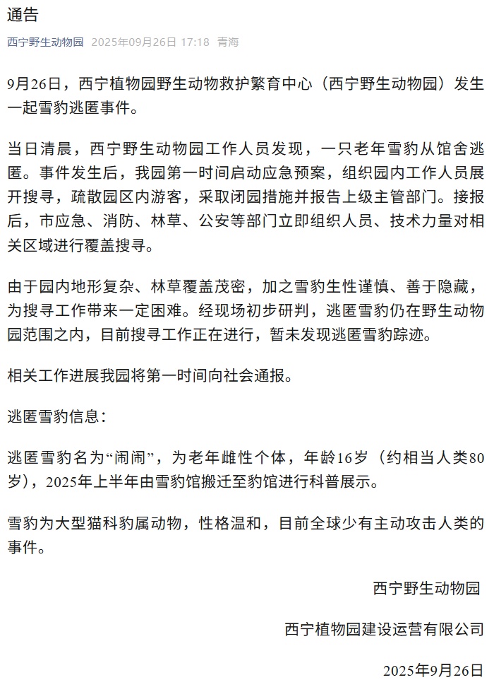 野生动物园16岁雪豹逃匿！相当于人类80岁……被捕后眼神亮了