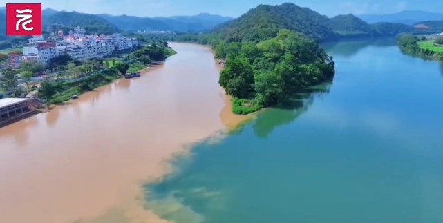 震撼！广东肇庆现青黄交汇泾渭分明奇观