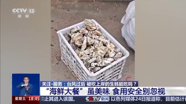 台风过后海滩上出现的“海鲜大礼”能吃吗？有何健康隐患？