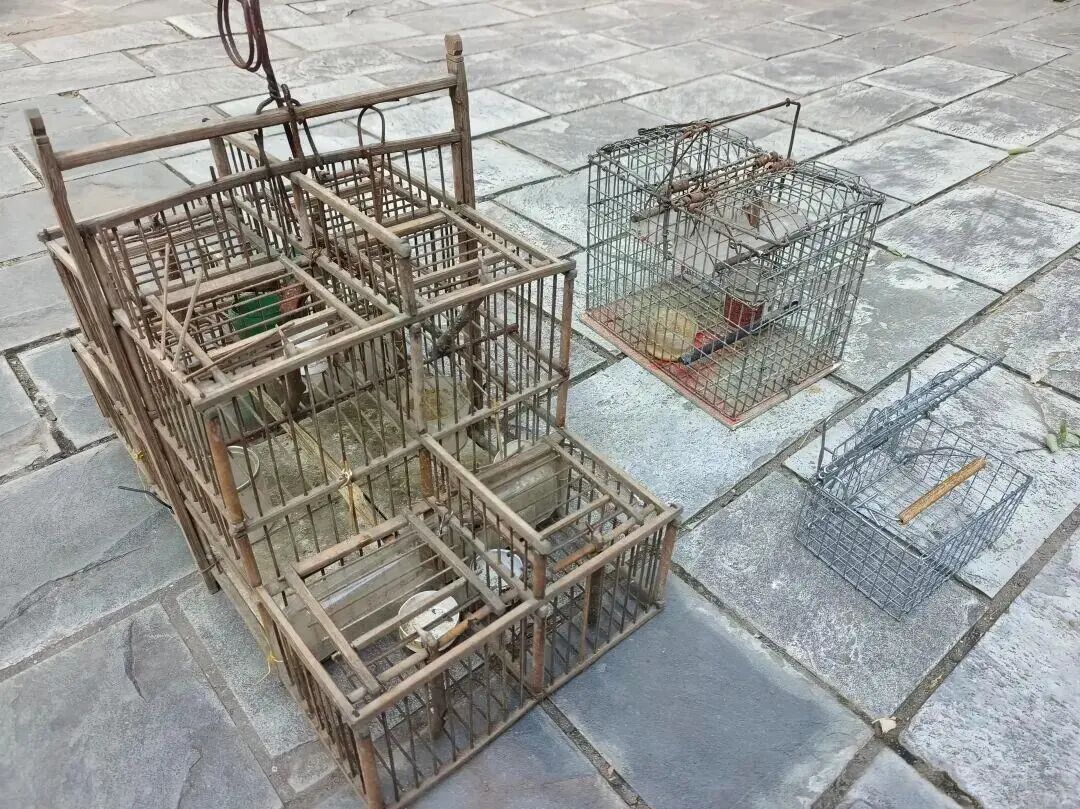 紧急提醒:见到这种笼子,立即举报! 紧急提醒:见到这种笼子,立即举报!