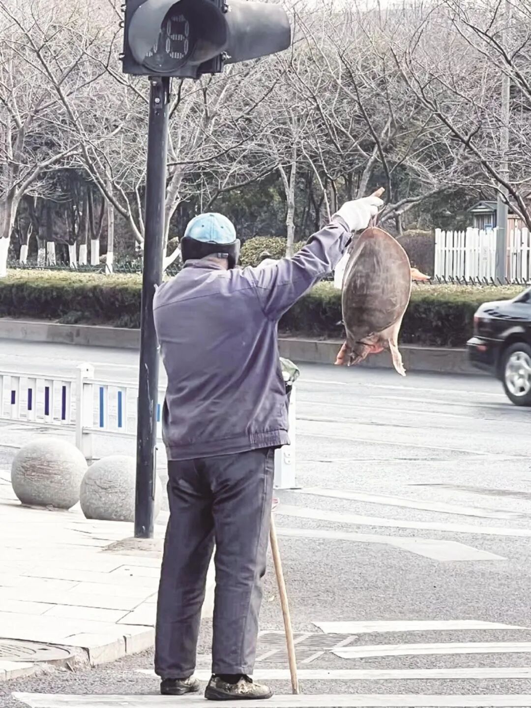 别买！千万别买！叫价数千元，浙江街头已出现