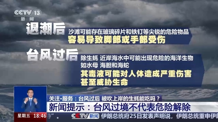 台风过后海滩上出现的“海鲜大礼”能吃吗？有何健康隐患？