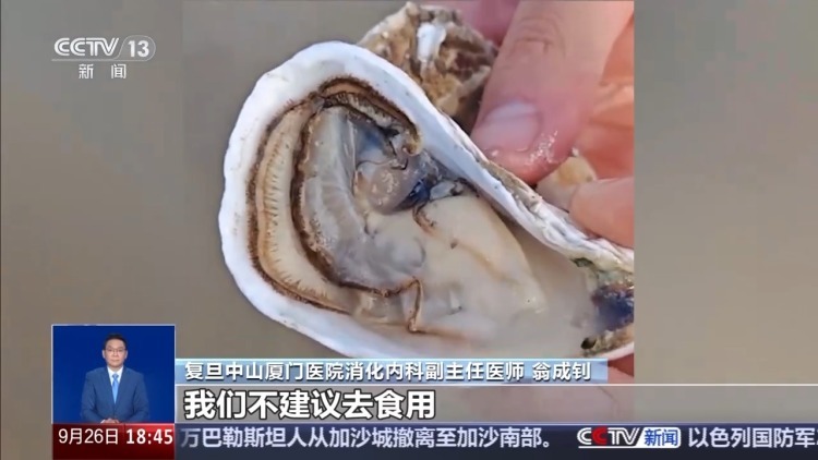 台风过后海滩上出现的“海鲜大礼”能吃吗？有何健康隐患？