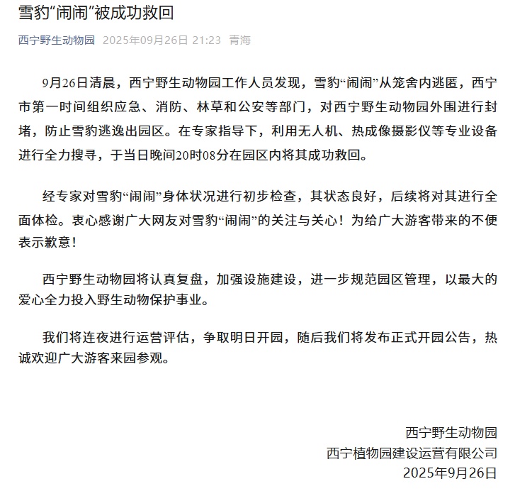 出逃雪豹“闹闹”救回照曝光！