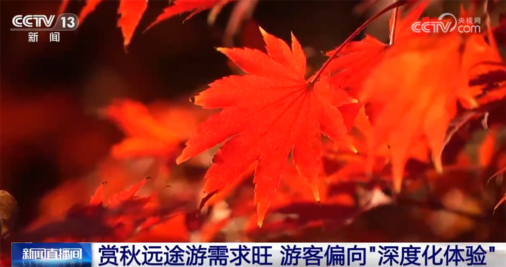 新亮点、新体验“澎湃”文旅市场活力 假日出游“人数+消费”将创新高