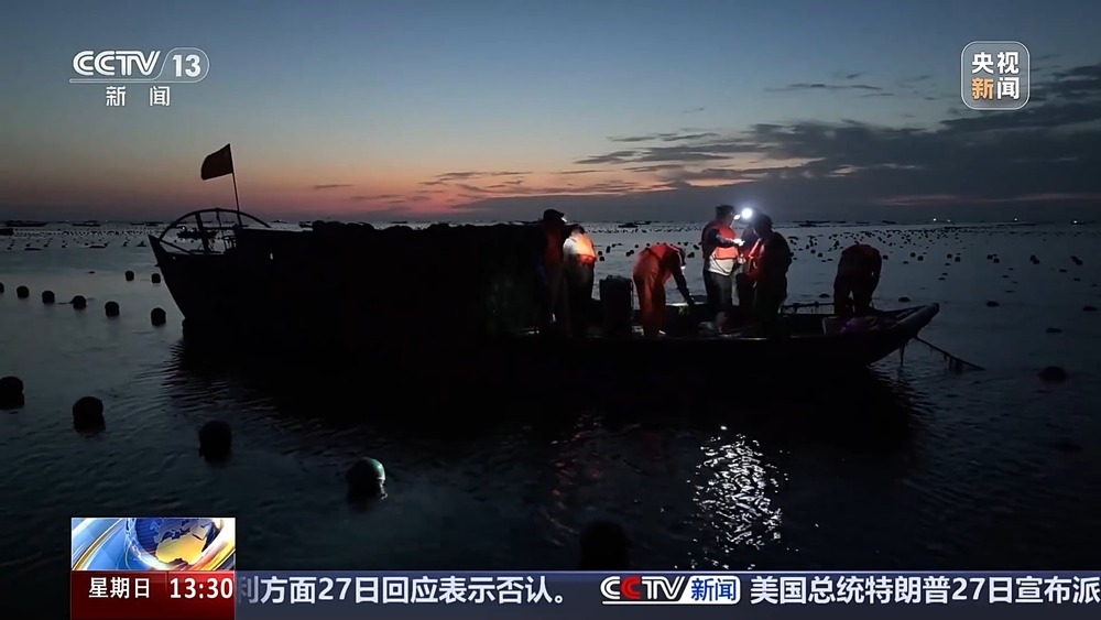 古法晒虾、板栗烧鸡 各地宝藏秋日鲜味已上桌