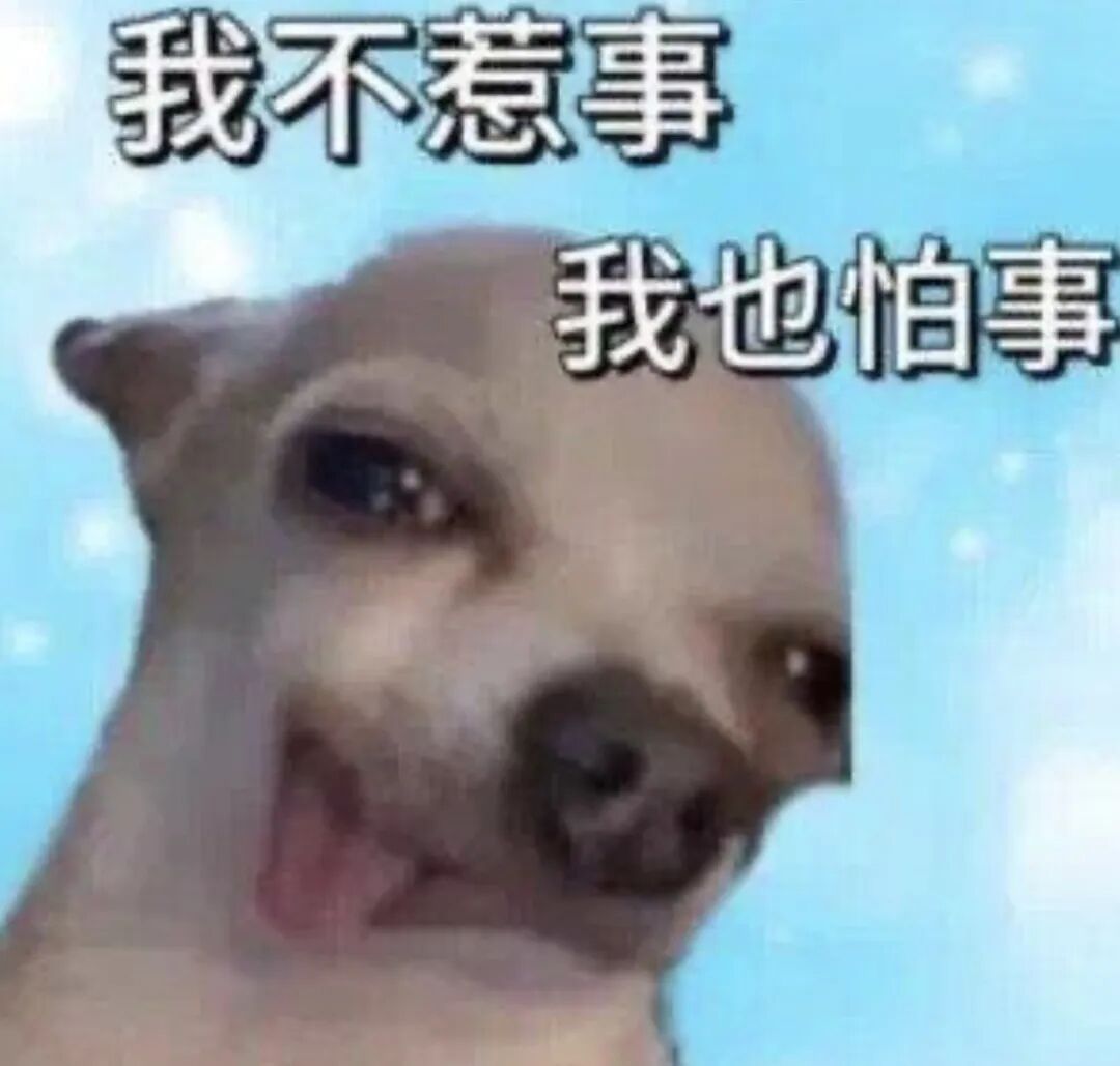 什么?狂犬病的头号元凶不是狗?最要警惕的动物竟然是它→ 什么?狂犬病的头号元凶不是狗?最要警惕的动物竟然是它→