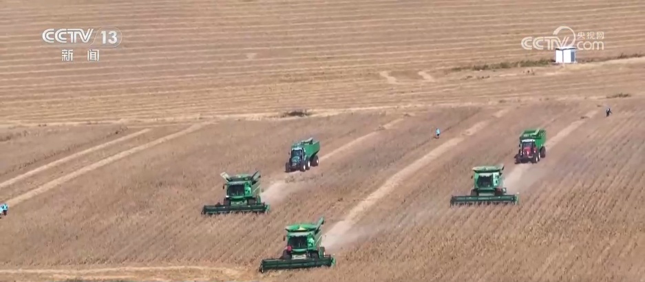 希望的田野满满“科技范” 智慧农业绘就千里沃野好“丰”景