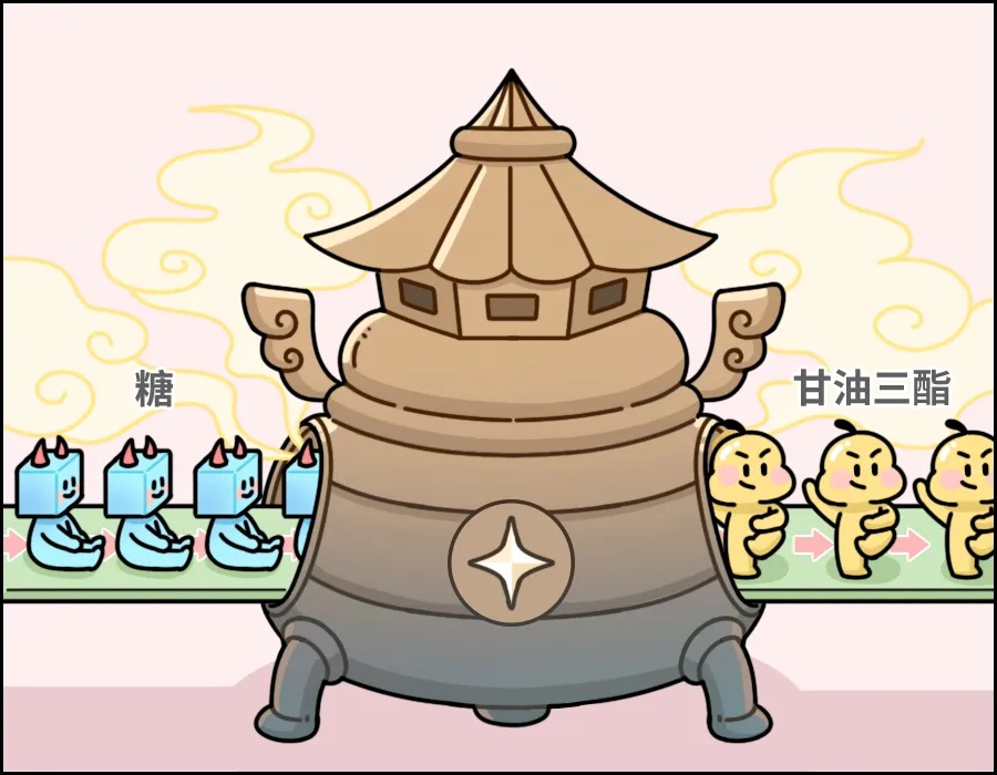 喝下去的糖VS吃下去的糖，哪个更伤身？