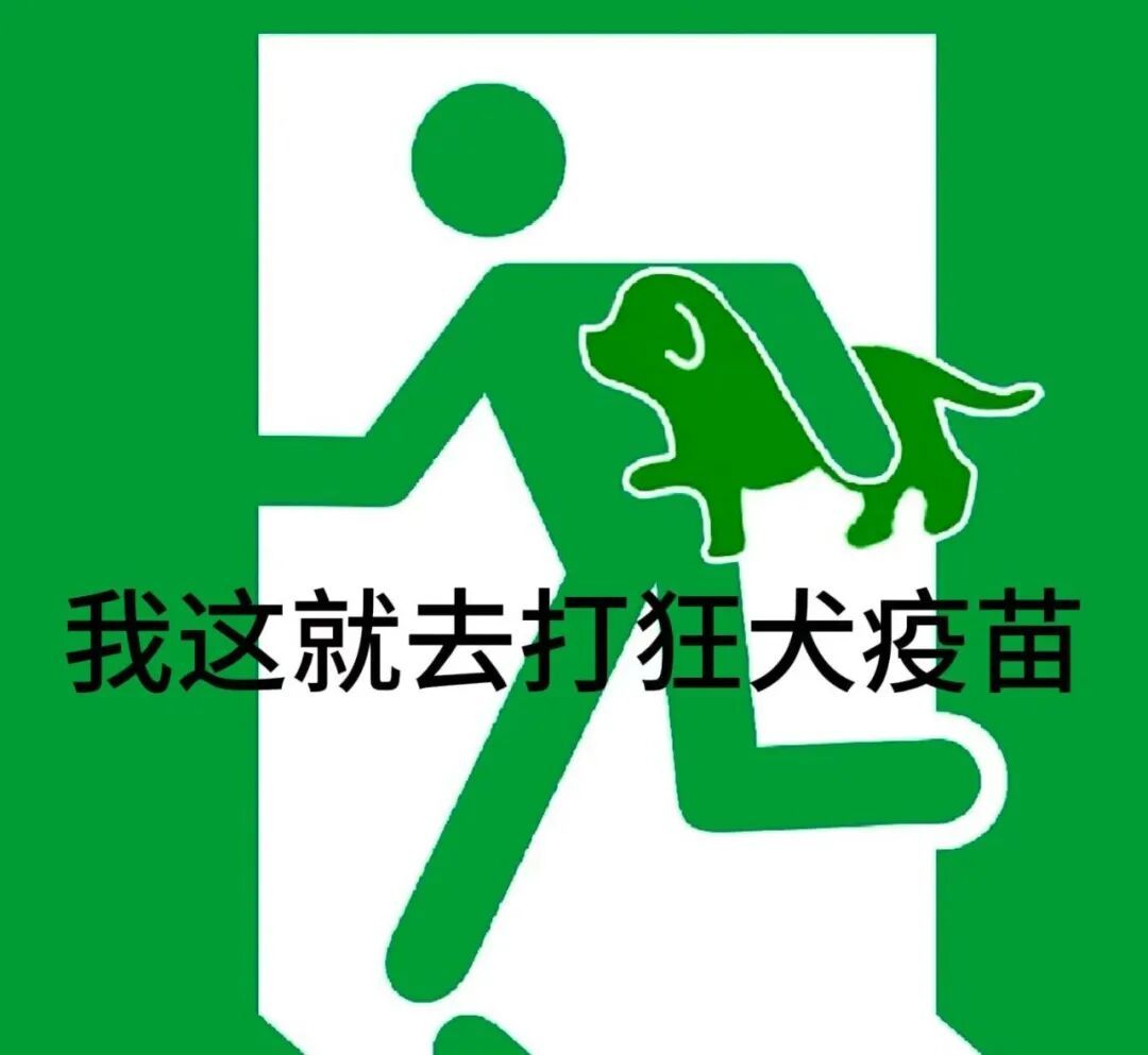 什么?狂犬病的头号元凶不是狗?最要警惕的动物竟然是它→ 什么?狂犬病的头号元凶不是狗?最要警惕的动物竟然是它→