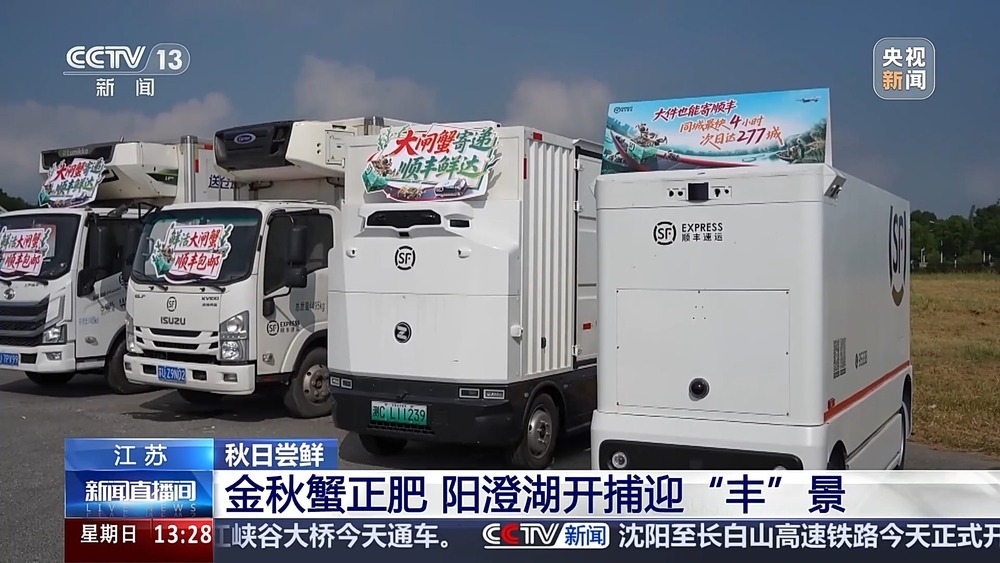 古法晒虾、板栗烧鸡 各地宝藏秋日鲜味已上桌