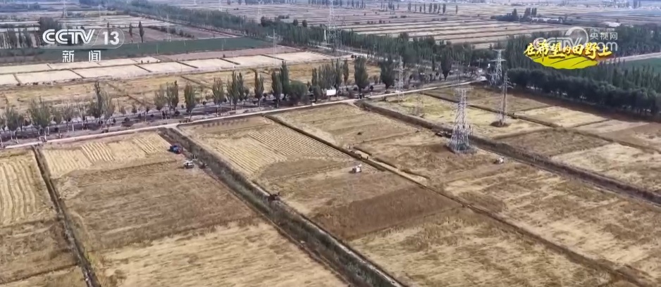 希望的田野满满“科技范” 智慧农业绘就千里沃野好“丰”景