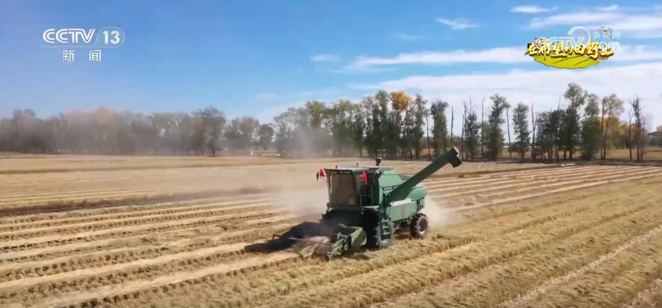 希望的田野满满“科技范” 智慧农业绘就千里沃野好“丰”景