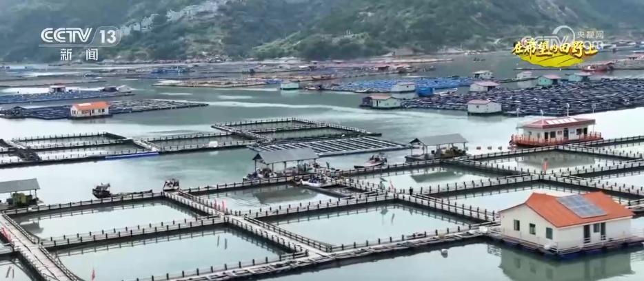 希望的田野满满“科技范” 智慧农业绘就千里沃野好“丰”景