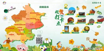 你可以永远相信北京的秋天！最全赏秋攻略→
