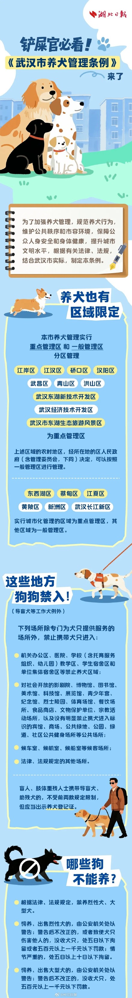 这些明确禁止！武汉市养犬管理条例来了