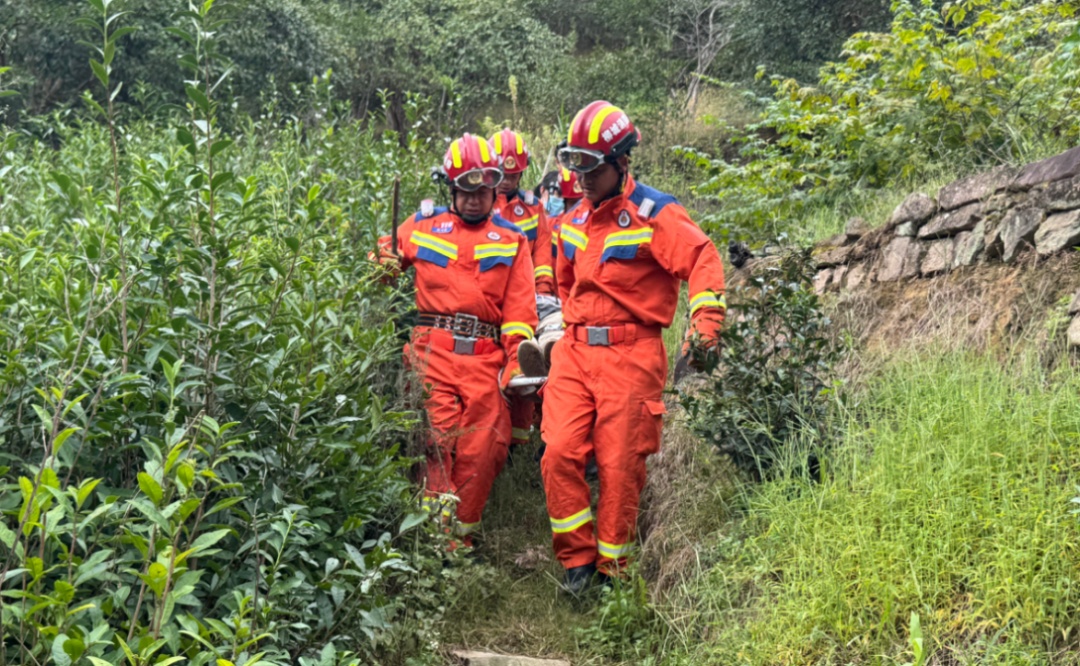 遭遇板栗“陷阱”！七旬老人被众人抬下山