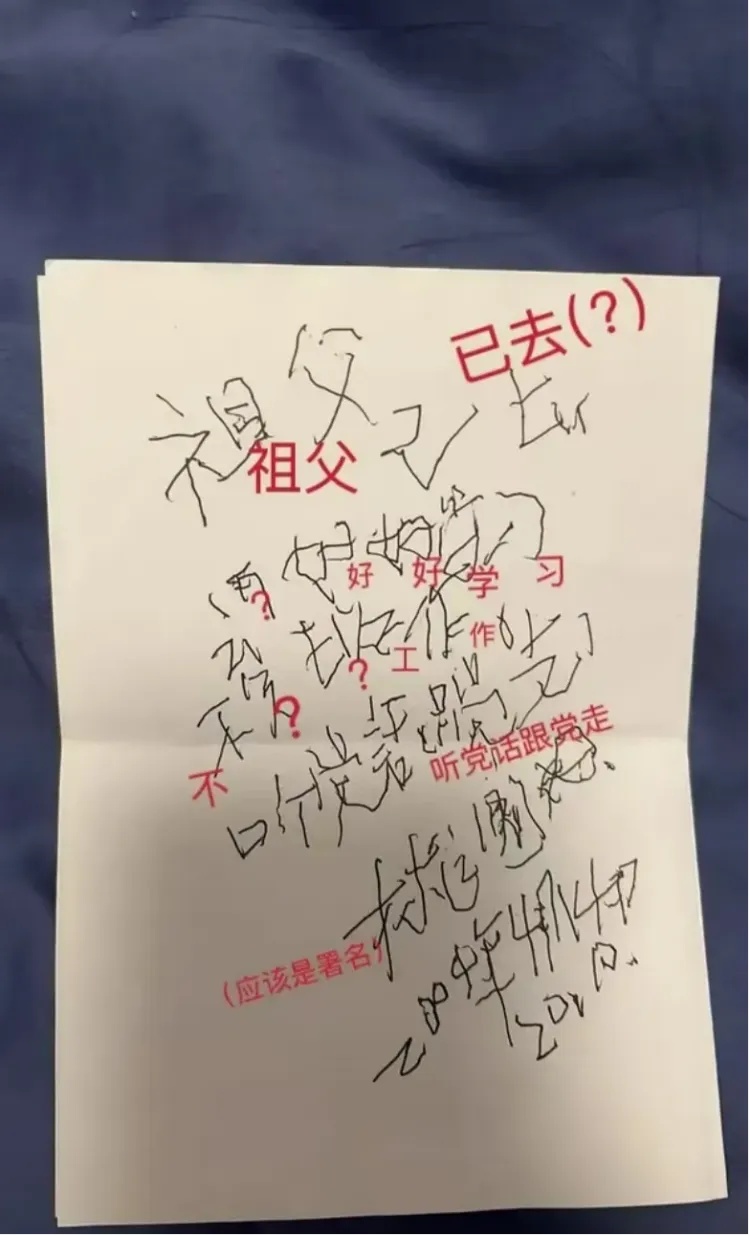 “这是奶奶去世前一周写的字，想请朋友们帮忙辨认一下……”