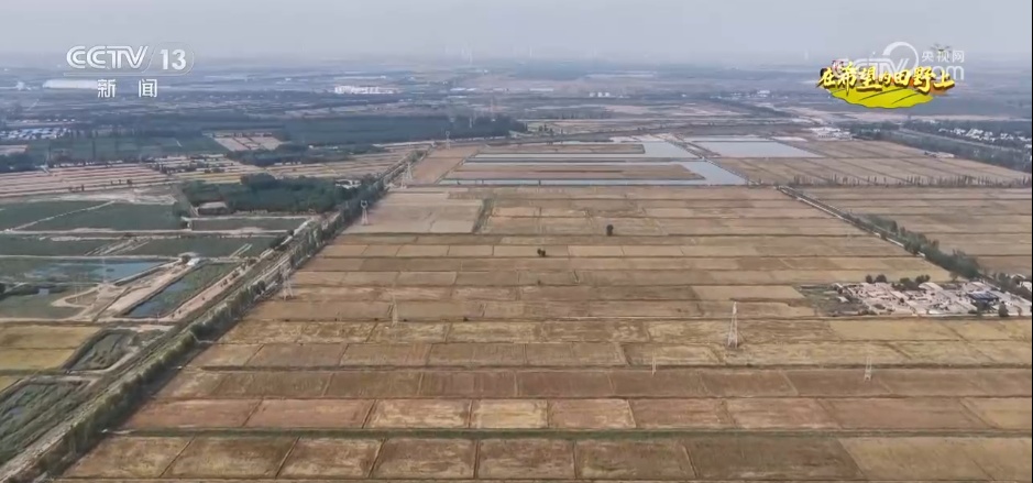 希望的田野满满“科技范” 智慧农业绘就千里沃野好“丰”景