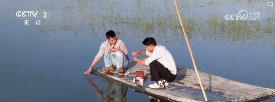 科技赋能点沙成“金” 盐碱地变蟹池撑起养殖户“钱袋子”