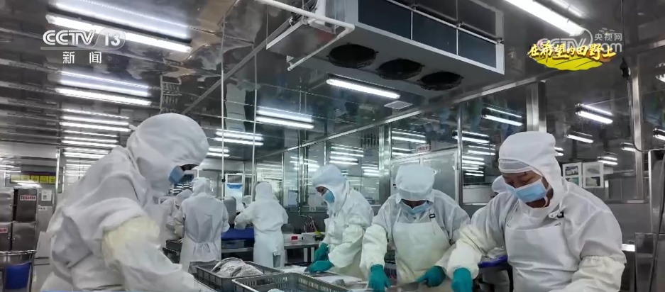 希望的田野满满“科技范” 智慧农业绘就千里沃野好“丰”景