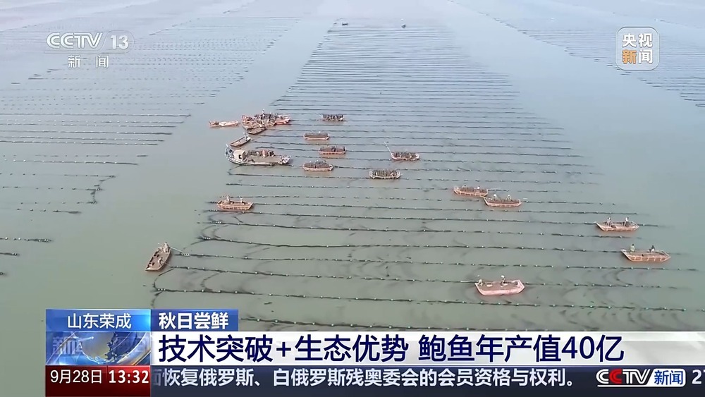 古法晒虾、板栗烧鸡 各地宝藏秋日鲜味已上桌